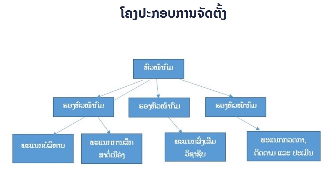 NFE role3